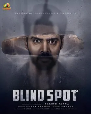 Blind Spot 2025 Hindi Dual Audio WEB-DL 720p - 480p - 1080p - Movierulz