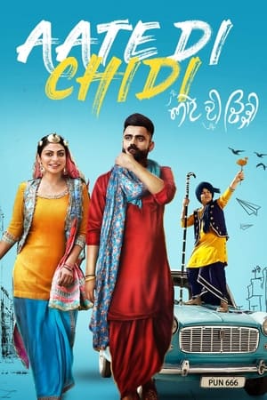 Aate di chidi (2018) Punjabi Movie 480p HDRip - [400MB] - Movierulz