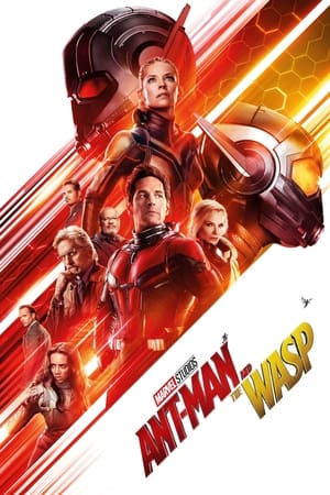 Ant Man and the Wasp (2018) Hindi Dual Audio 480p BluRay 350MB - Movierulz