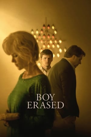 Boy Erased (2018) Hindi Dual Audio 480p BluRay 380MB - Movierulz