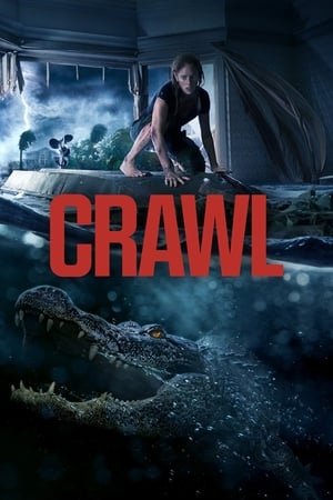 Crawl (2019) Hindi Dual Audio 720p Web-DL [800MB] - Movierulz