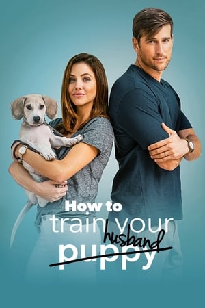 How to Train Your Husband 2018 Hindi Dual Audio 480p BluRay 300MB - Movierulz
