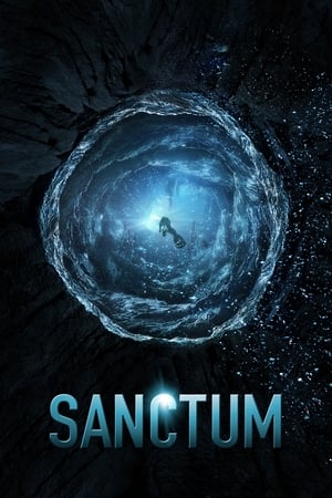 Sanctum (2011) Hindi Dual Audio 480p BluRay 300MB - Movierulz