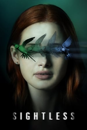 Sightless 2020 Hindi Dual Audio 480p Web-DL 300MB - Movierulz