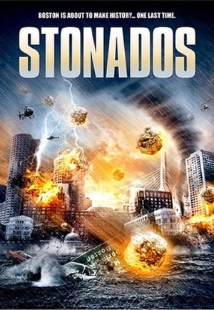 Stonados (2013) Hindi Dual Audio 720p BluRay [840MB] - Movierulz
