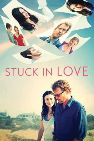 Stuck in Love (2012) Hindi Dual Audio 720p BluRay [850MB] - Movierulz