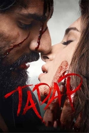 Tadap (2021) Hindi Movie Web-DL 720p – 480p - Movierulz