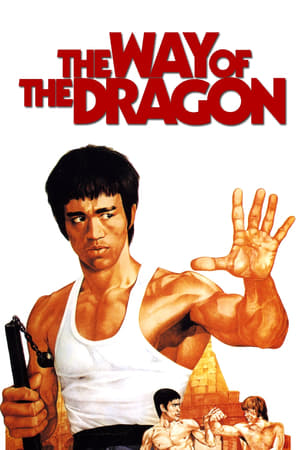 The Way of the Dragon (1972) Hindi Dual Audio 480p BluRay 300MB - Movierulz